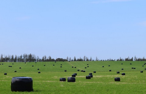十勝の風景～晩夏?or初秋?