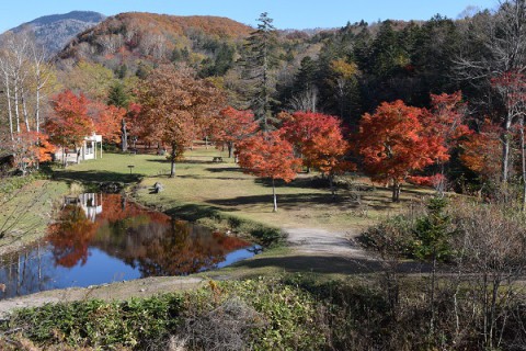 今年もありがとう!　福原山荘の紅葉～♪