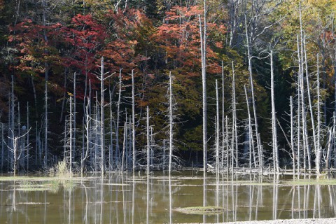 浦幌町に行ってきました～♪