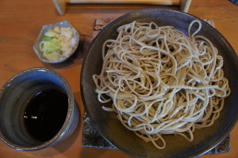 野鳥が見られる店～茶来居さんのもりそば