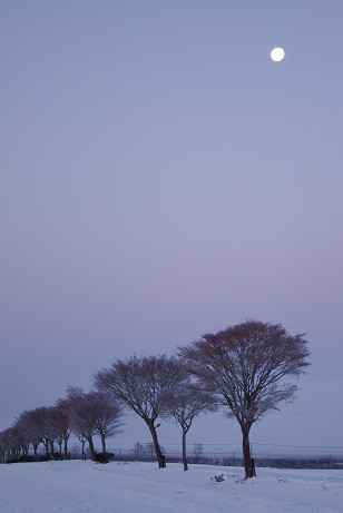 カメラスケッチ～氷点下18度の朝
