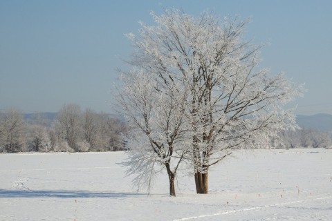 カメラスケッチ～続続続・零下18度の朝