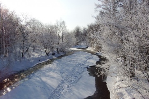 今冬、雪多くネ!?