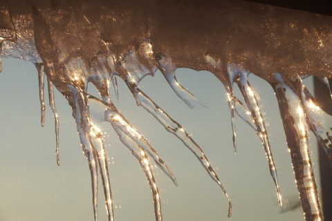 我が家のジュエリーアイス～♪