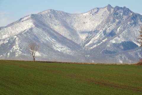 十勝の春・音更～清水～芽室～中札内