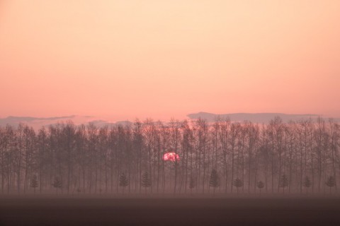日の出時～♪　芽室町