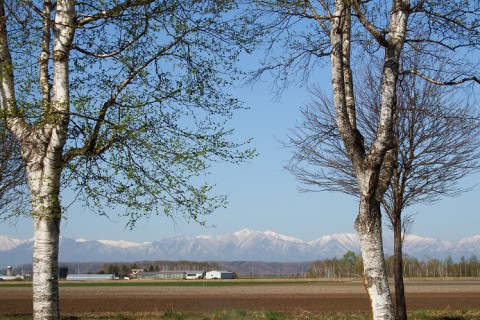 十勝の春・音更～芽室～清水