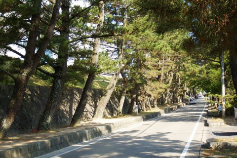 近畿・東海の旅⑤ 岡崎~藤川宿~豊川稲荷~新城市~遠州森町~浜松