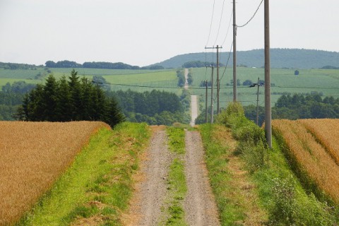 十勝の風景・夏
