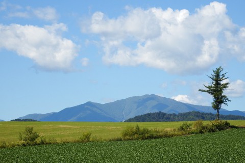 十勝の風景～中札内村