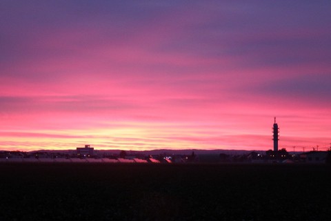 音更町・朝焼け&朝霧