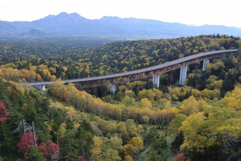 三国峠の紅葉～♪