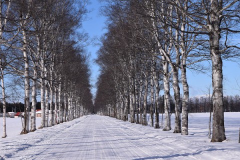 カメラスケッチ・音更方面