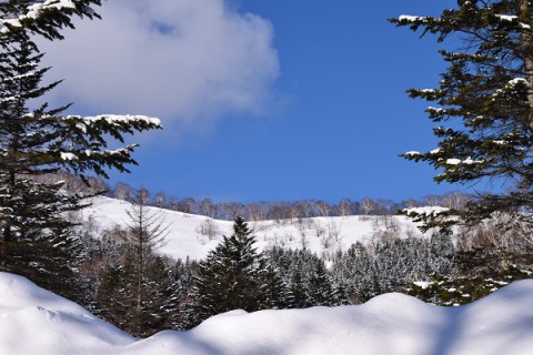 冬景色・日勝峠～芽室町