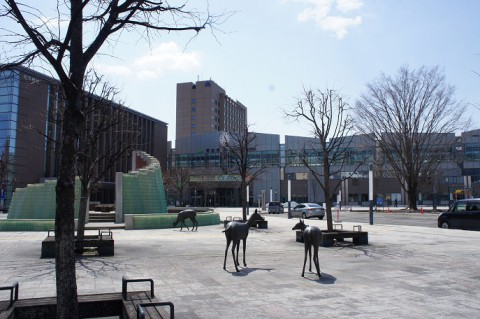 ほぼ雪は無くなりました～♪