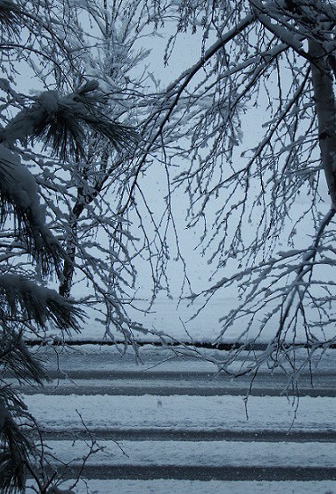 タイヤ交換しないでよかった～♪