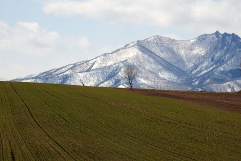 カメラスケッチ・芽室方面