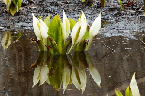 カメラスケッチ・音更～鹿追～新得