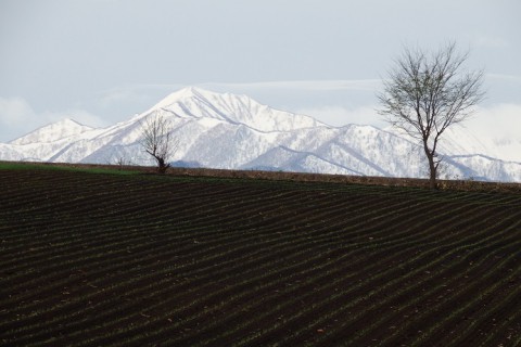 カメラスケッチ・芽室方面