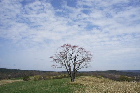 タイミングが合わない!