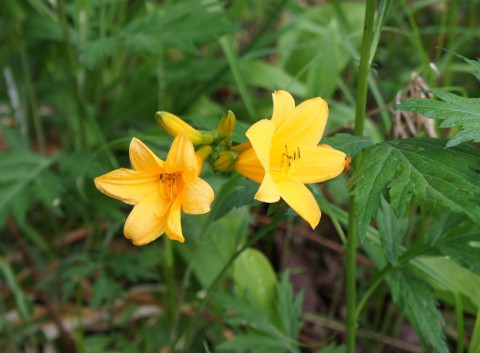 なるか?全国一!