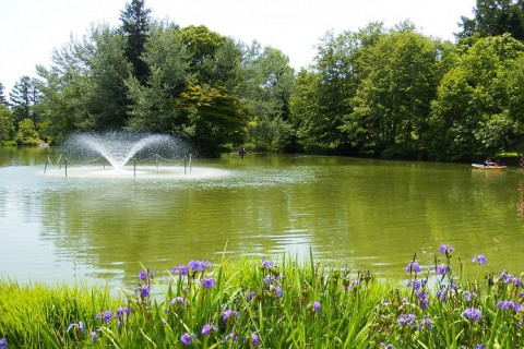 カメラスケッチ・緑ヶ丘公園