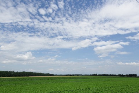 カメラスケッチ・芽室町の「なつぞら」