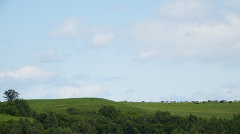 カメラスケッチ・音更町~清水町