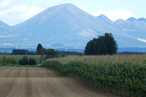 カメラスケッチ・鹿追町