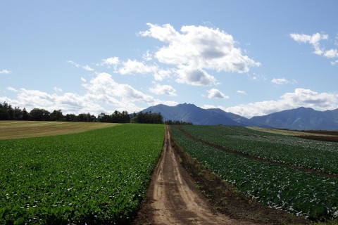 カメラスケッチ・芽室町