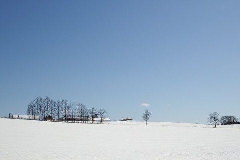 カメラスケッチ・空港周辺