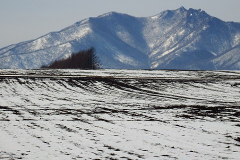 カメラスケッチ・芽室町
