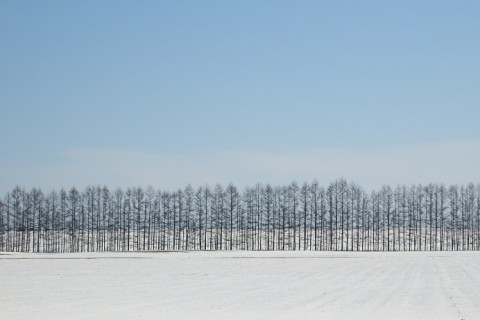 カメラスケッチ・芽室町(続き…)