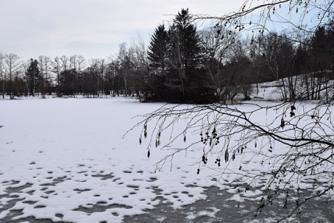 緑ヶ丘公園の雪景色