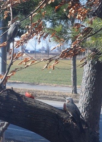 ツーショット撮影に成功!