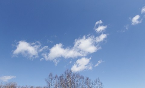 朝ドラ「なつぞら」いよいよ明日から～♪