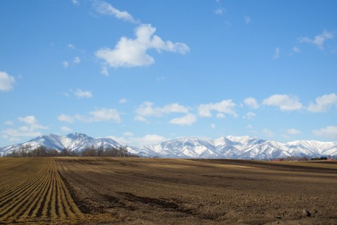 カメラスケッチ・芽室町