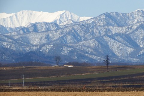 カメラスケッチ・中札内村