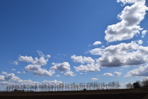 カメラスケッチ・清水町～美蔓パノラマパーク