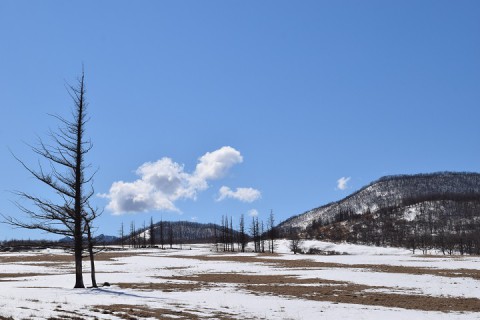 カメラスケッチ・清水町～円山展望台