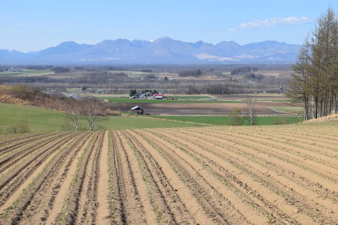 カメラスケッチ・音更町