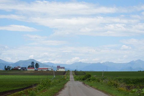 カメラスケッチ・中札内村