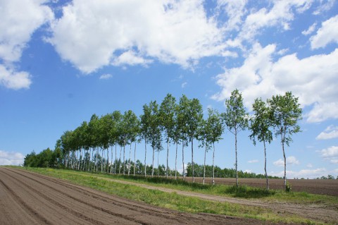 カメラスケッチ・音更町～初夏の空