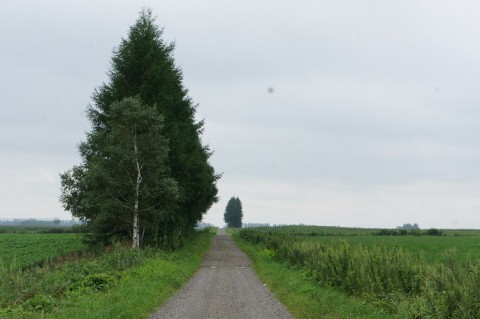 カメラスケッチ・上士幌町