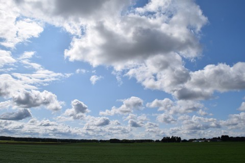 カメラスケッチ・音更町