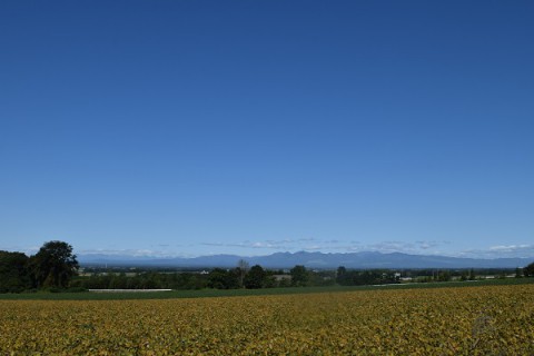カメラスケッチ・音更町 山頂に白いもの見っけ～!