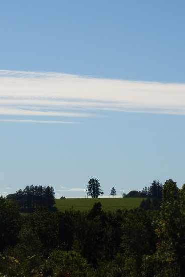 カメラスケッチ・音更町