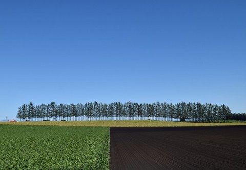 カメラスケッチ・芽室町