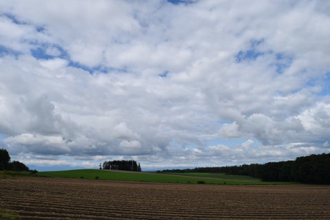 カメラスケッチ・音更町