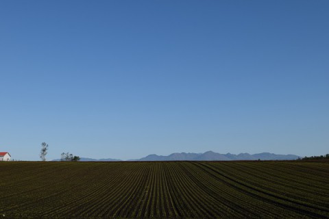 カメラスケッチ・音更町～鹿追町